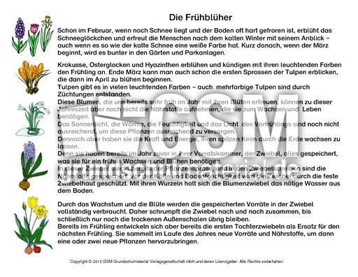 Abschreibtext-Frühblüher.pdf